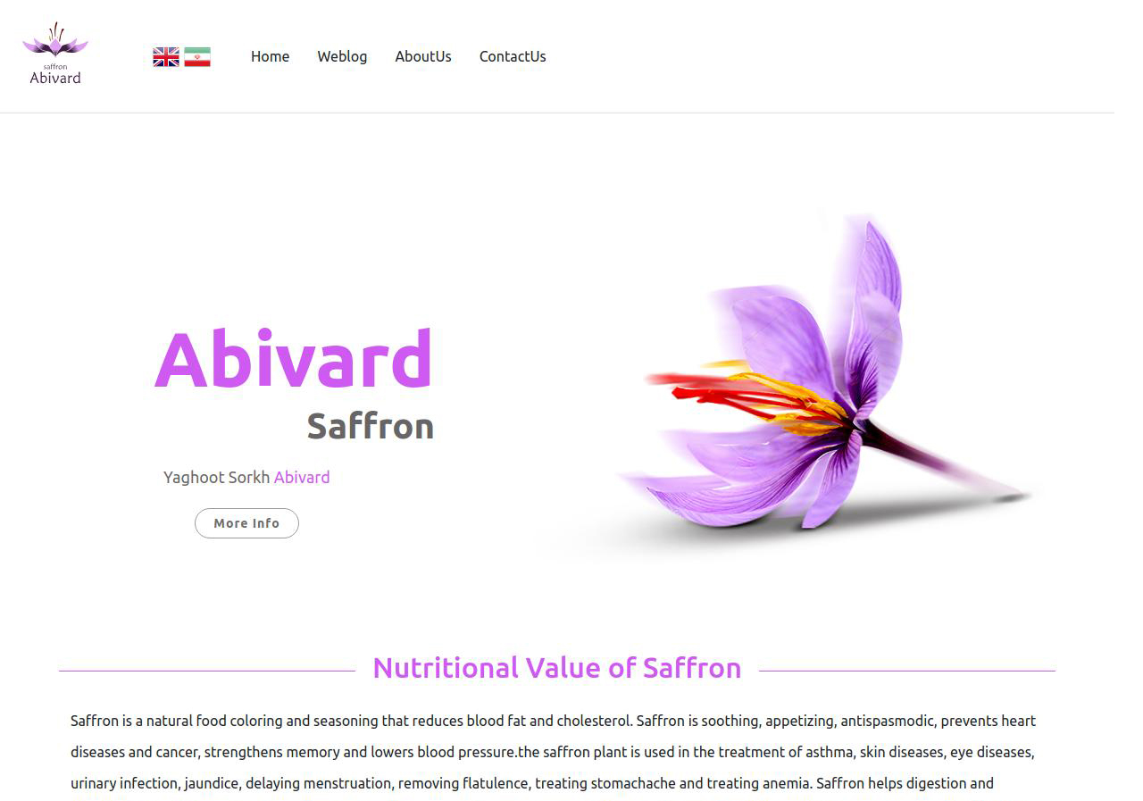 طراحی سایت زعفران ابیورد